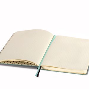 Sage Meadow Notebook