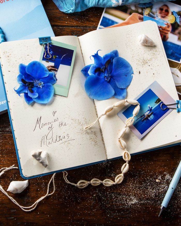 Blue Lagoon Notebook